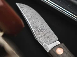 Annual Damascus 2022