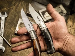 Boxer Desert Ironwood