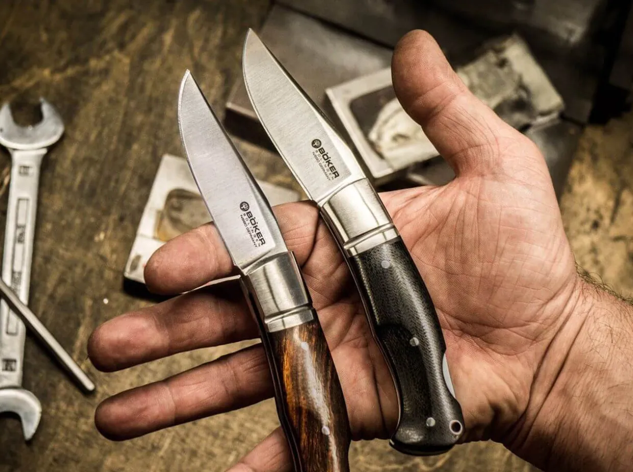 Boxer Desert Ironwood