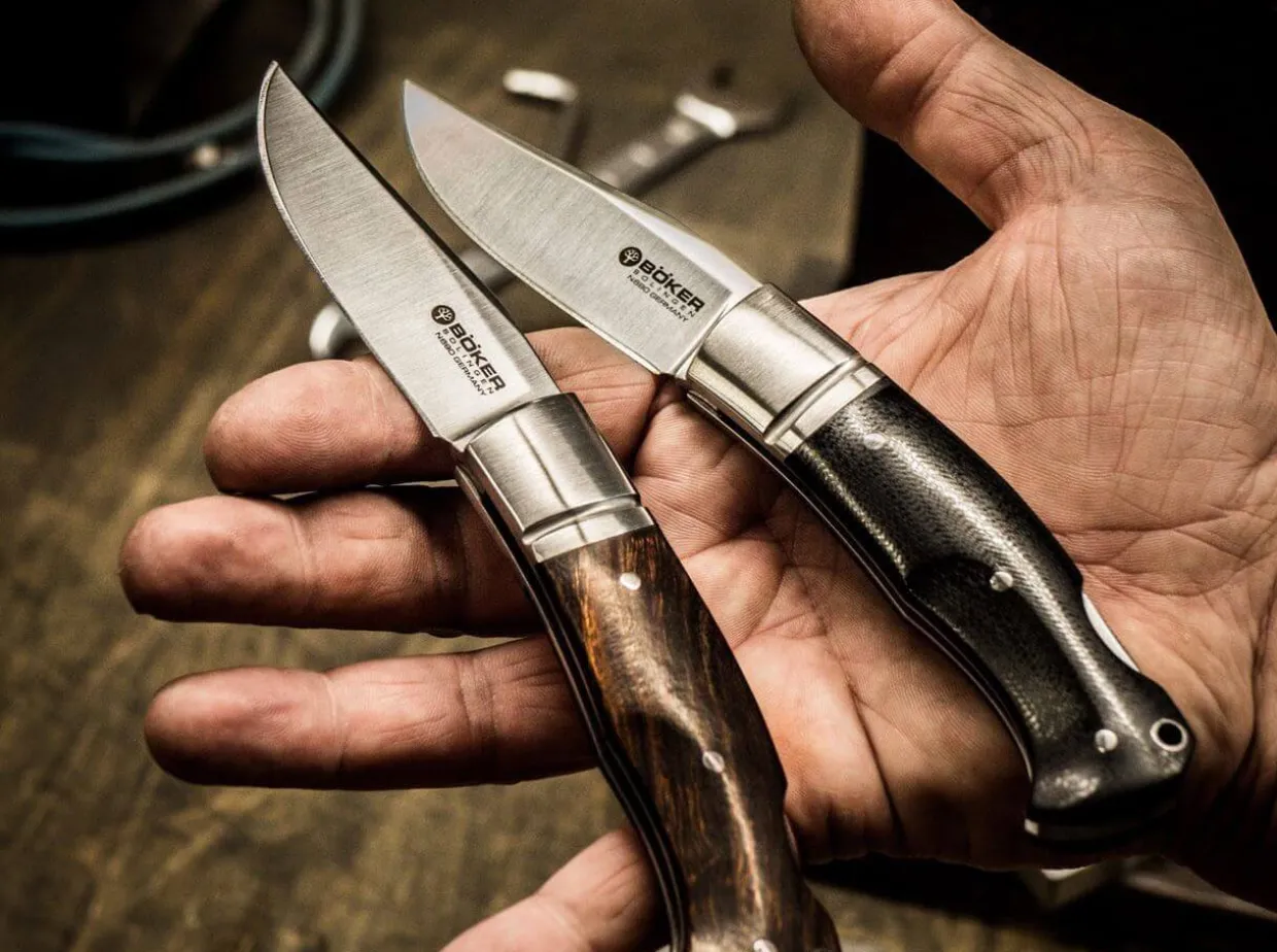 Boxer Desert Ironwood