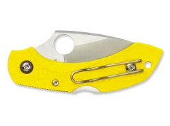 Dragonfly 2 Salt Plain