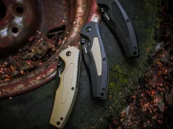 Gemini Nga Bk Coyote