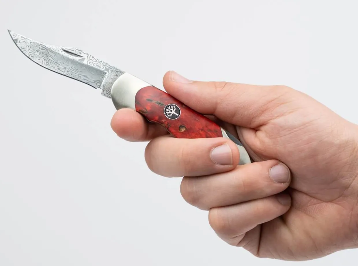 Junior Scout Curly Birch Red Damascus