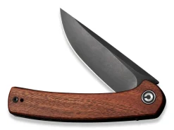 Mini Asticus Cuibourtia