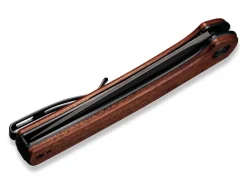 Mini Asticus Cuibourtia