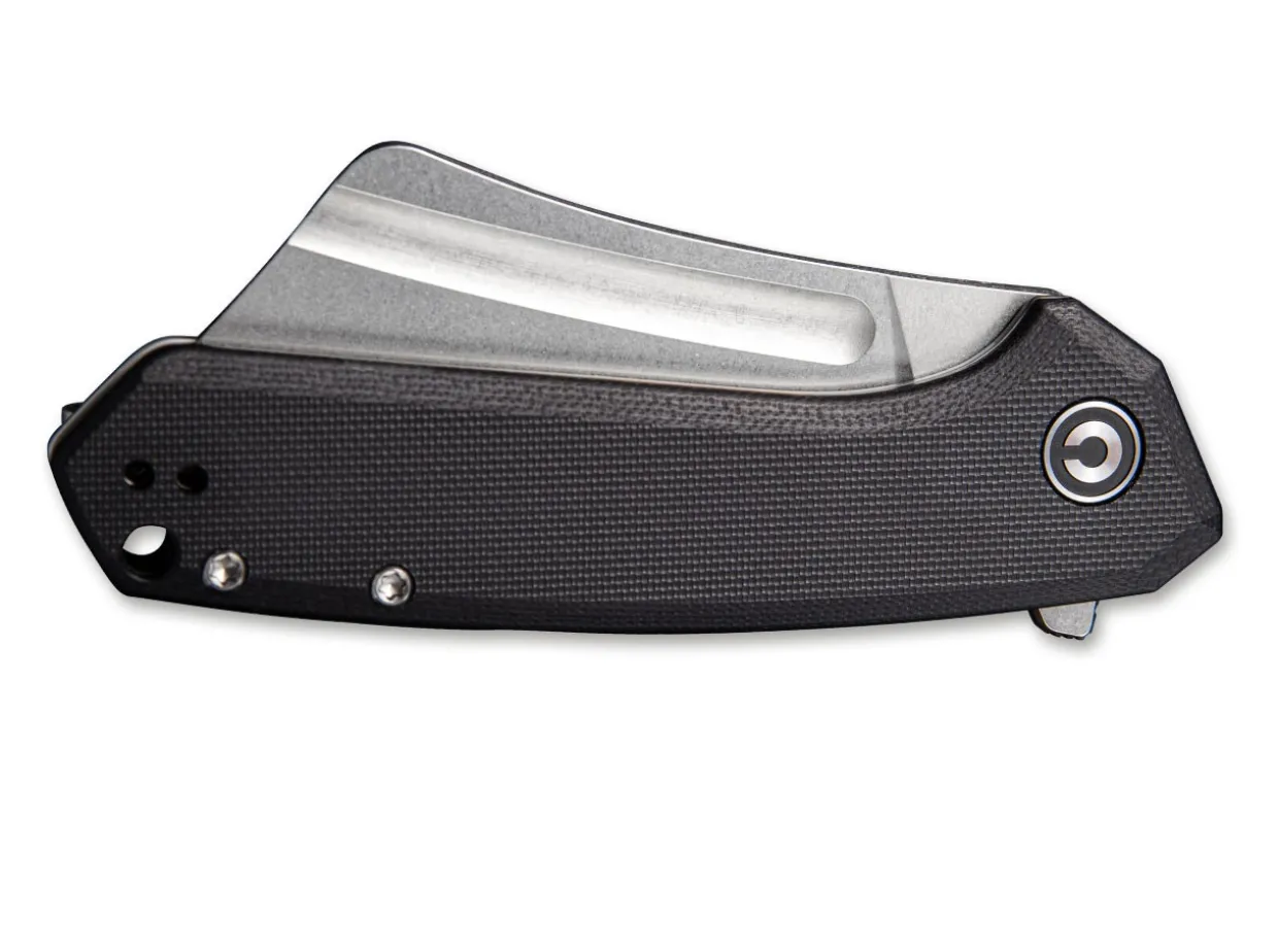 Mini Bullmastiff Black