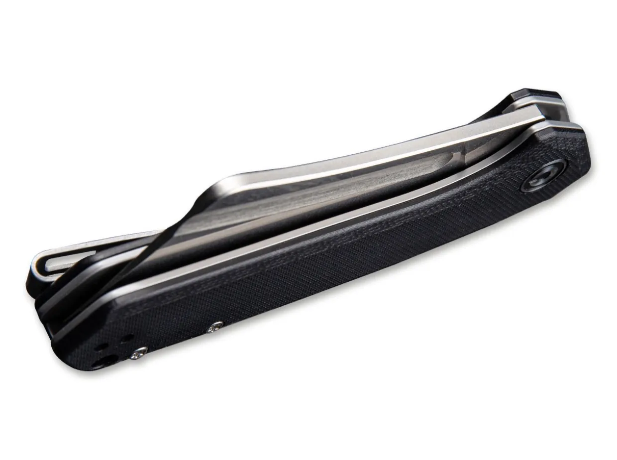 Mini Bullmastiff Black