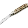 Pocket Knife Stag