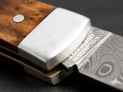 Pocket Thuja Damascus