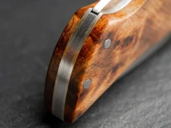 Pocket Thuja Damascus